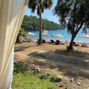 Meet your Posher, Ankel